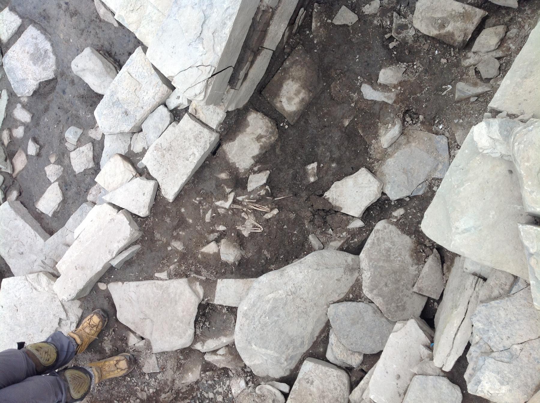 A Day in the Life of a Marine Archaeologist Wessex Archaeology